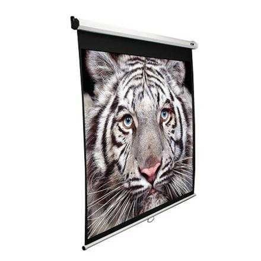 Elite Screens M113NWS1