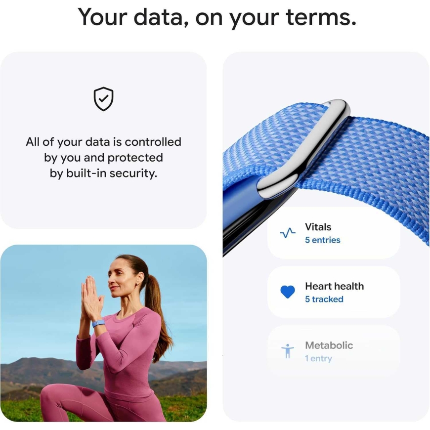 Google Fitbit Air Levanda