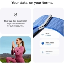 Google Fitbit Air Levanda
