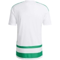 Meeste adidas Hooped 26 Jersey t-särk valge ja roheline KF3393 (S) Meeste adidas Hooped 26 Jersey t-särk valge ja roheline KF3393 (S)