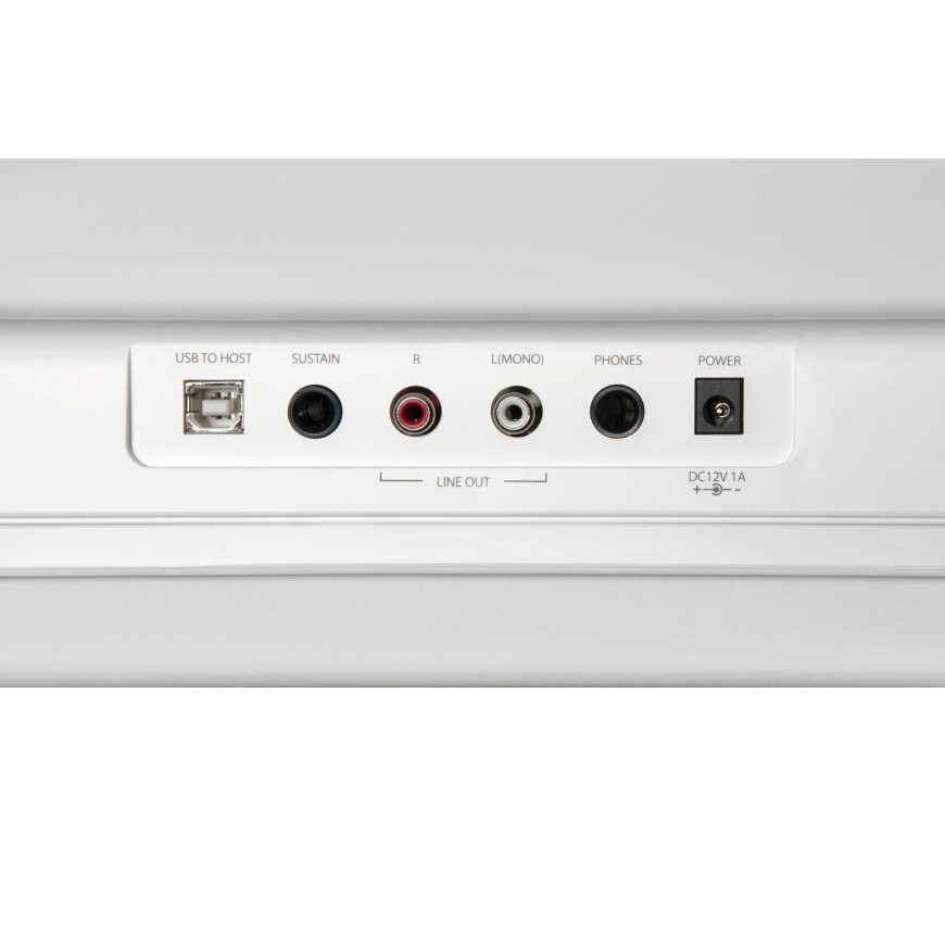 Artesia Performer 88 taustiņu digitālais klavieres ar statīvu, balts – 2