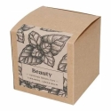 Teministeriet - Ayurvedinen kauneus - Irtonaihetee BIO 100 g