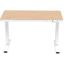Spacetronik Electric Writing Desk 120x60 SPE-B128WL Ast 120_60 10 Spacetronik Electric Writing Desk 120x60 SPE-B128WL Ast 120_60 10