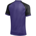Vīriešu T-krekls Nike Dri-FIT Trophy VI violeti-melns HV8151 547 (L) Vīriešu T-krekls Nike Dri-FIT Trophy VI violeti-melns HV8151 547 (L)
