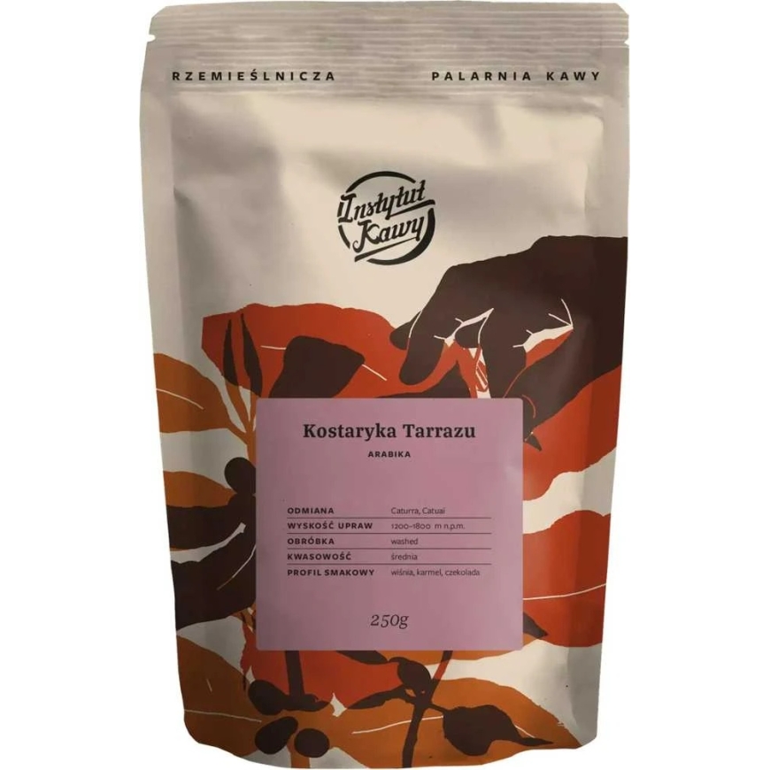 Coffee Beans Instytut Kawy Costa Rica Tarrazu 250 g
