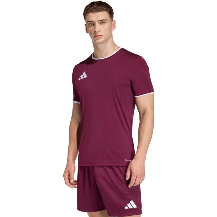 adidas Entrada 26 Jersey vīriešu T-krekls bordo JZ2507 (2XL)