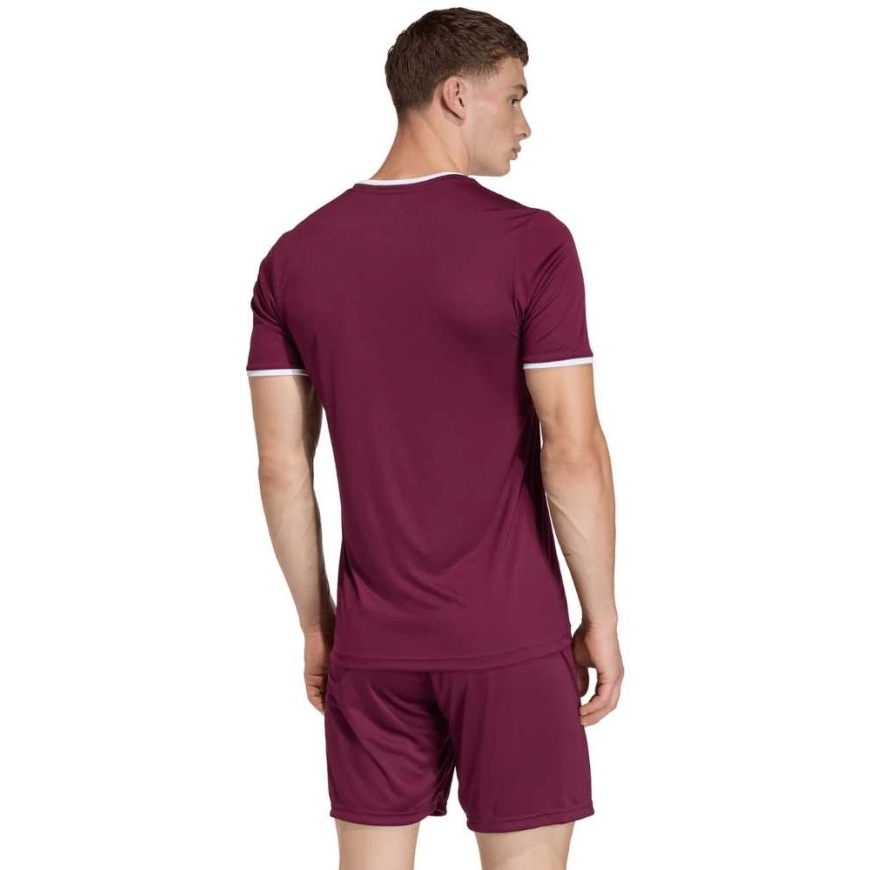 Vyriški marškinėliai adidas Entrada 26 Jersey bordinė JZ2507 (2XL) – 4