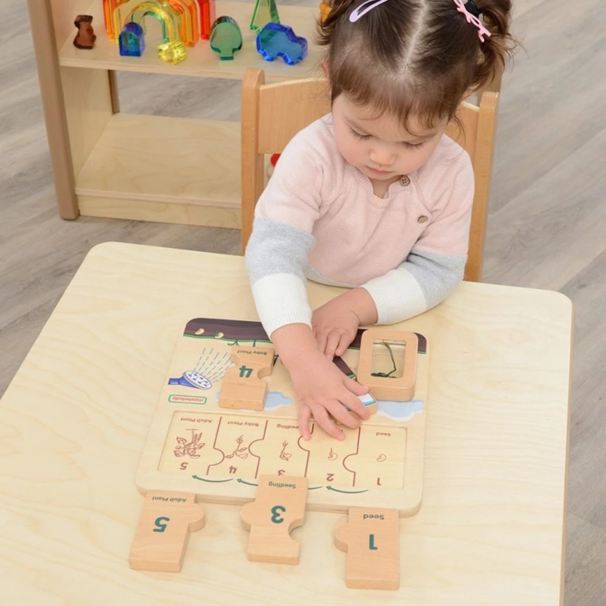 Masterkidz medinė edukacinė lenta pupelės gyvavimo ciklas – 3
