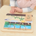 Masterkidz Wooden Educational Board Bean Life Cycle Masterkidz Wooden Educational Board Bean Life Cycle