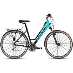 Tabou Kinetic 1 W Bike Black-Mint-M / 19" (Size: M / 19")