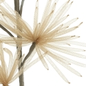 Eurofirany KW/ORGANZA/5/J.B BEIGE Eurofirany KW/ORGANZA/5/J.B BEIGE