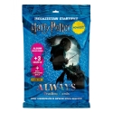 Panini Harry Potteri kaardimängu stardipakett Panini Harry Potteri kaardimängu stardipakett