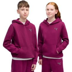 Puma ESS Elevated Hoodie FL for Kids Fuchsia 694701 41 (164cm)