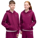 Худи Puma ESS Elevated для детей фуксия 694701 41 (164 см) Худи Puma ESS Elevated для детей фуксия 694701 41 (164 см)