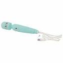Pillow Talk Cheeky Wand Massager Teal Pillow Talk Cheeky Wand Massager Teal