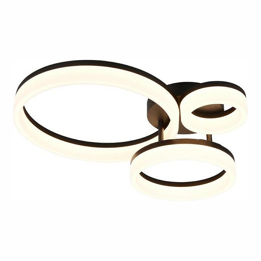 CEILING LIGHT LED TRIO SCOPE 4000LM BLAC (4017807656022)
