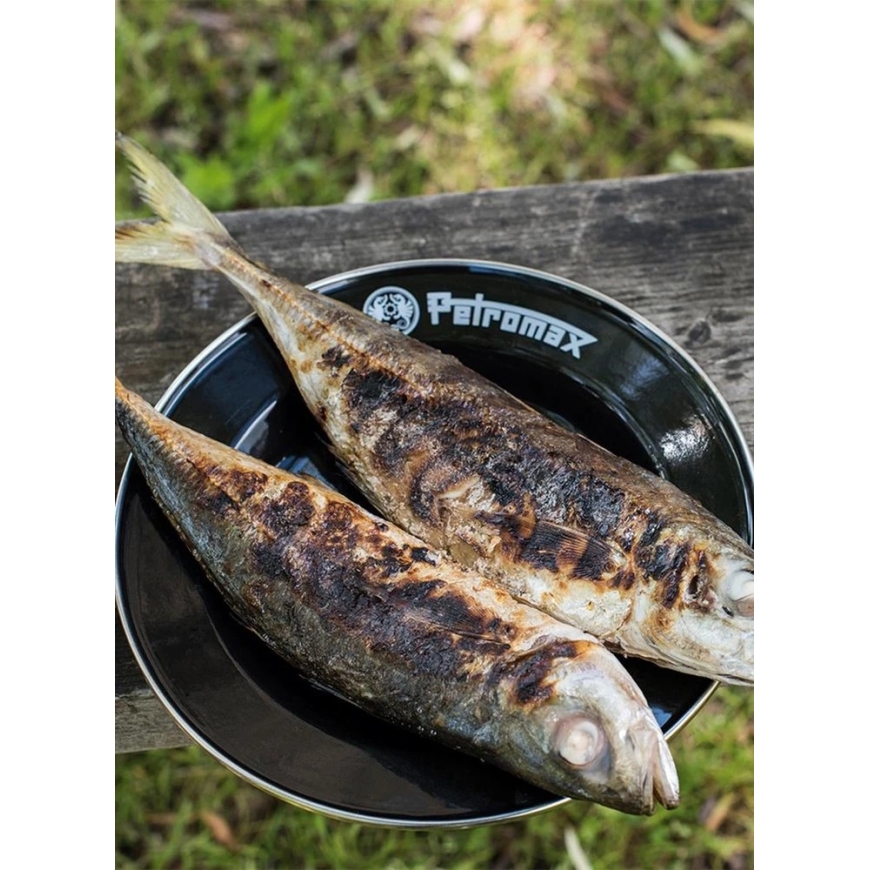 Enamel Plates Set of 2 18 cm Petromax Black – 5