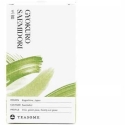 Teasome - Gyokuro Saemidori - Irto tee 50 g Teasome - Gyokuro Saemidori - Irto tee 50 g