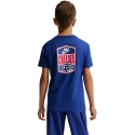 Nike Chelsea FC Premier laste T-särk sinine IQ5003 495 (L) Nike Chelsea FC Premier laste T-särk sinine IQ5003 495 (L)