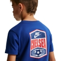 Nike Chelsea FC Premier Kids T-Shirt Blue IQ5003 495 (L) Nike Chelsea FC Premier Kids T-Shirt Blue IQ5003 495 (L)
