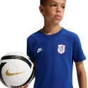 Marškinėliai vaikams Nike Chelsea FC Premier mėlyna IQ5003 495 (L)