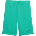 Puma ESS Small No.1 Logo Shorts for Kids Green 692974 40 (128cm) Puma ESS Small No.1 Logo Shorts for Kids Green 692974 40 (128cm)