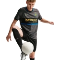 Men's T-shirt Nike Inter Milan Match 2026/27 grey II6640 069 (S)