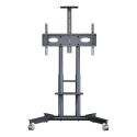 TELEVIZORA MOBILA STENDS/32-75"/GRAFITS TS1571-G