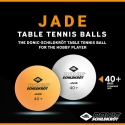 Donic Flower Pot Table Tennis Balls Jade Poly 40+