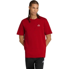 Vyriški marškinėliai adidas Color Icon Graphic raudona KT4444 (S)