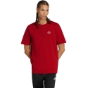 Adidas miesten t-paita Color Icon Graphic punainen KT4444 (S)