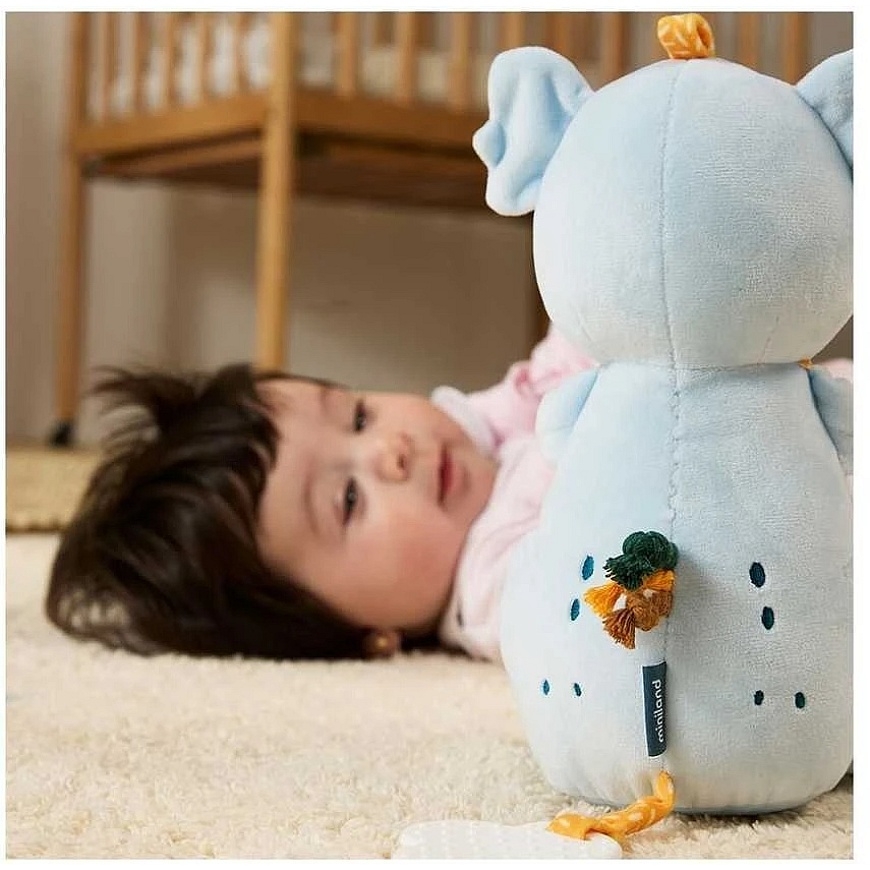 Miniland Adorable Moments Plush Toy for Baby Koala - Charming Moment – 4