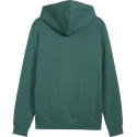 Meeste Puma ESS 2 Color Small No.1 Logo kapuutsiga särk roheline 684718 90 (2XL) Meeste Puma ESS 2 Color Small No.1 Logo kapuutsiga särk roheline 684718 90 (2XL)