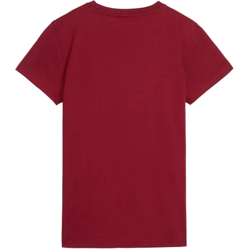 Moteriški marškinėliai Puma ESS Small No.1 Logo Tee(s) ruda 682373 23 (L) – 2