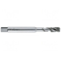 Drill Alpen HSS-CO machine tap for M12 thread [0071401200100]