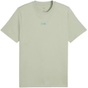 Puma Men's ESS Small No.1 Logo Centered Tee Light Green 692912 28 (M)