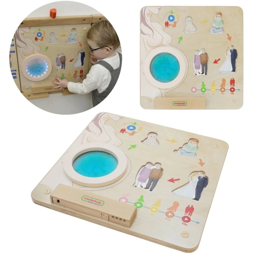 Masterkidz izglītojošā tāfele Cilvēka dzīves cikls Montessori – 3