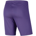 Šortai vaikams Nike Dry Park III NB K violetinė BV6865 507 (S)