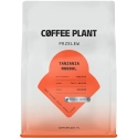 Coffee Plant KAVOS AUGALAS - Tanzania Mondul Washed filter 250 g Coffee Plant KAVOS AUGALAS - Tanzania Mondul Washed filter 250 g