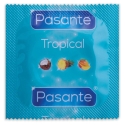 Pasante Healthcare Pasante Tropical 144 144 pcs. Lygus