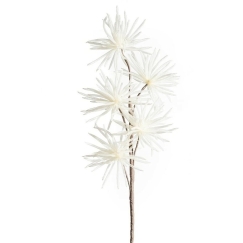 Eurofirany KW/ORGANZA/5/K K