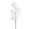 Eurofirany KW/ORGANZA/5/K K