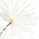 Eurofirany KW/ORGANZA/5/K K