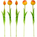 Saska Garden Oranžide Pioontulpide Kimp 39 cm Saska Garden Oranžide Pioontulpide Kimp 39 cm