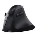 Trust Vyran hiire Universaalne Parempoolne RF Wireless + Bluetooth Optiline 4800 DPI Trust Vyran hiire Universaalne Parempoolne RF Wireless + Bluetooth Optiline 4800 DPI