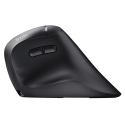 Trust Vyran hiire Universaalne Parempoolne RF Wireless + Bluetooth Optiline 4800 DPI Trust Vyran hiire Universaalne Parempoolne RF Wireless + Bluetooth Optiline 4800 DPI