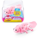 Pets Alive Elävät Eläimet - Kelluva Aksolotli - Vaaleanpunainen Pets Alive Elävät Eläimet - Kelluva Aksolotli - Vaaleanpunainen