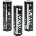 EVOLVEO LiPower 217 Max 5000 – Li-ion akumulators 21700 (3,7 V / 5000 mAh), 3 gab. EVOLVEO LiPower 217 Max 5000 – Li-ion akumulators 21700 (3,7 V / 5000 mAh), 3 gab.