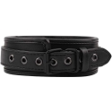 Fierce Euphoria Adjustable Black Unisex BDSM Bondage Sex Collar Fierce Euphoria Adjustable Black Unisex BDSM Bondage Sex Collar