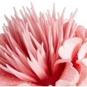 Eurofirany KW/FLORE/835/PINK PINK